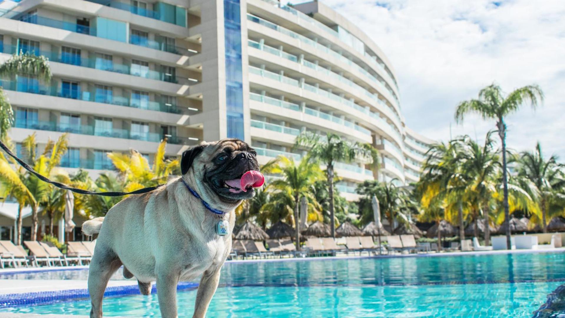 Palacio Mundo Imperial Riviera Diamante Acapulco All Inclusive Luaran gambar